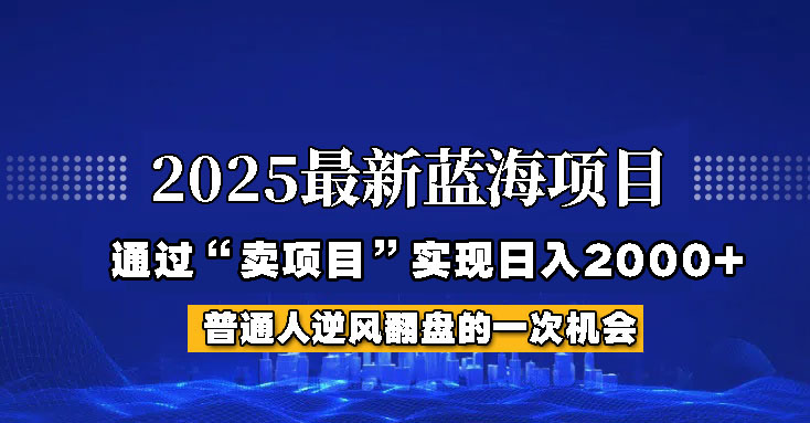 2025年蓝海项目，如何通过“网创项目”日入2000+宝哥轻创业_网络项目库_分享创业资讯_最新网创免费网络项目资源宝哥网创资源项目库