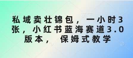 私域卖壮锦包，一小时3张，小红书蓝海赛道3.0版本， 保姆式教学宝哥轻创业_网络项目库_分享创业资讯_最新网创免费网络项目资源宝哥网创资源项目库
