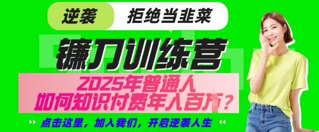 【网创项目终点站-镰刀训练营超级IP合伙人】25年普通人如何通过知识付费实现逆袭【揭秘】宝哥轻创业_网络项目库_分享创业资讯_最新网创免费网络项目资源宝哥网创资源项目库