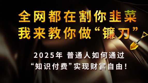 全网都在割你韭菜，我来教你做镰刀，2025普通人如何通过知识付费，实现财F自由【揭秘】宝哥轻创业_网络项目库_分享创业资讯_最新网创免费网络项目资源宝哥网创资源项目库