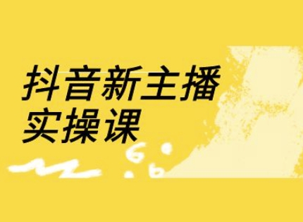 抖音新主播实操课，直播间流量运营线上实操课(18节)宝哥轻创业_网络项目库_分享创业资讯_最新网创免费网络项目资源宝哥网创资源项目库
