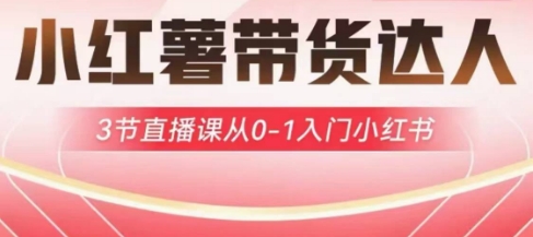 小红薯达人带货启航计划，3节直播课从0-1入门小红书宝哥轻创业_网络项目库_分享创业资讯_最新网创免费网络项目资源宝哥网创资源项目库