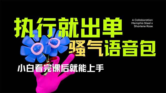 爆火全网的开车导航骚气语音包,只要执行就出单，小白看完课程就能实操…宝哥轻创业_网络项目库_分享创业资讯_最新网创免费网络项目资源宝哥网创资源项目库