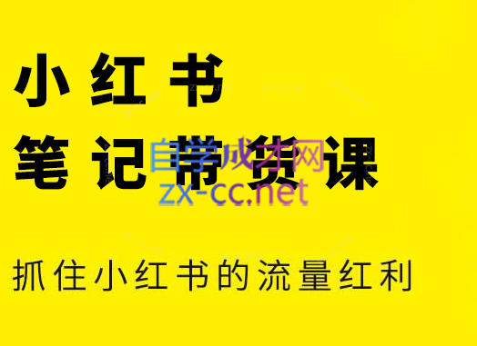 张宾·小红书笔记带货课(更新3月学员分享)宝哥轻创业_网络项目库_分享创业资讯_最新网创免费网络项目资源宝哥网创资源项目库