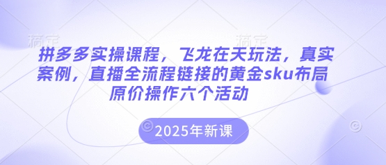 拼多多实操课程，飞龙在天玩法，真实案例，直播全流程链接的黄金sku布局原价操作六个活动宝哥轻创业_网络项目库_分享创业资讯_最新网创免费网络项目资源宝哥网创资源项目库