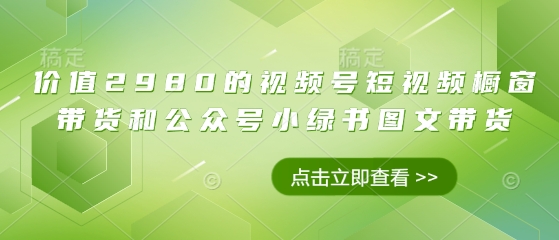 价值2980的视频号短视频橱窗带货和公众号小绿书图文带货宝哥轻创业_网络项目库_分享创业资讯_最新网创免费网络项目资源宝哥网创资源项目库