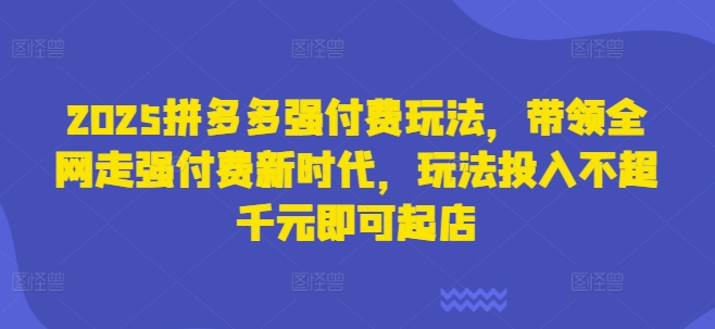 2025拼多多强付费玩法，带领全网走强付费新时代，玩法投入不超千元即可起店宝哥轻创业_网络项目库_分享创业资讯_最新网创免费网络项目资源宝哥网创资源项目库