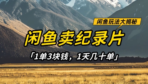 闲鱼卖纪录片1单3块钱，1天几十单，项目稳定有潜力宝哥轻创业_网络项目库_分享创业资讯_最新网创免费网络项目资源宝哥网创资源项目库