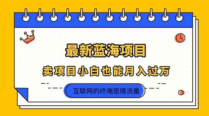 2025年最新蓝海项目，卖项目小白也能月入过万宝哥轻创业_网络项目库_分享创业资讯_最新网创免费网络项目资源宝哥网创资源项目库