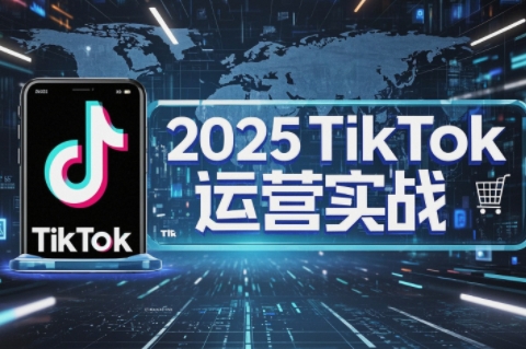 阿涛·2025TikTok电商运营宝哥轻创业_网络项目库_分享创业资讯_最新网创免费网络项目资源宝哥网创资源项目库