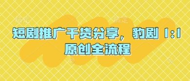 短剧推广干货分享，豹剧 1:1原创全流程宝哥轻创业_网络项目库_分享创业资讯_最新网创免费网络项目资源宝哥网创资源项目库