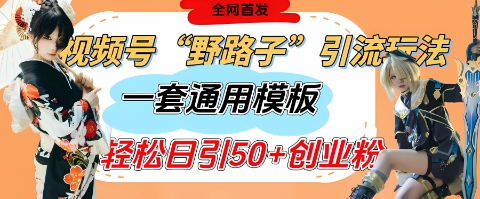 视频号“野路子”玩法，评论区疯狂截流，一套模板单日单号引流50+创业粉宝哥轻创业_网络项目库_分享创业资讯_最新免费网络项目资源宝哥网创资源项目库