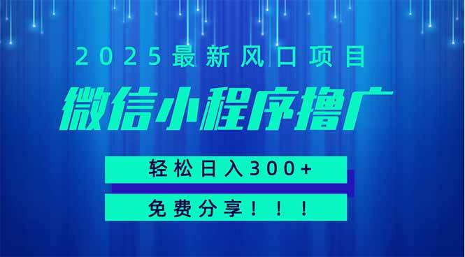 微信小程序撸广，最新风口项目，日入300+ 免费分享 可批量操作 小白可…宝哥轻创业_网络项目库_分享创业资讯_最新网创免费网络项目资源宝哥网创资源项目库