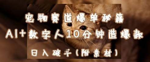 宠物赛道爆单秘籍：AI+数字人10分钟造爆款，日入1k宝哥轻创业_网络项目库_分享创业资讯_最新网创免费网络项目资源宝哥网创资源项目库