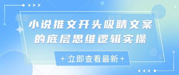小说推文开头吸睛文案的底层思维逻辑实操宝哥轻创业_网络项目库_分享创业资讯_最新网创免费网络项目资源宝哥网创资源项目库