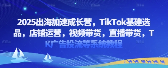 2025出海加速成长营，TikTok基建选品，店铺运营，视频带货，直播带货，TK广告投流等系统教程宝哥轻创业_网络项目库_分享创业资讯_最新网创免费网络项目资源宝哥网创资源项目库