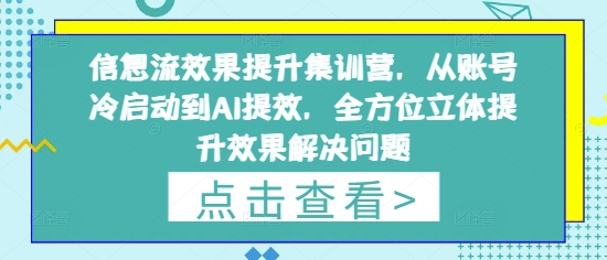 信息流效果提升集训营，从账号冷启动到AI提效，全方位立体提升效果解决问题宝哥轻创业_网络项目库_分享创业资讯_最新网创免费网络项目资源宝哥网创资源项目库