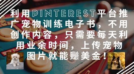 利用Pinterest平台推广宠物训练电子书，不用创作内容，只需要每天利用业余时间，上传宠物图片就能挣美金!宝哥轻创业_网络项目库_分享创业资讯_最新网创免费网络项目资源宝哥网创资源项目库