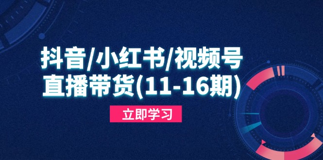 抖音/小红书/视频号/直播带货(11-16期宝哥轻创业_网络项目库_分享创业资讯_最新网创免费网络项目资源宝哥网创资源项目库