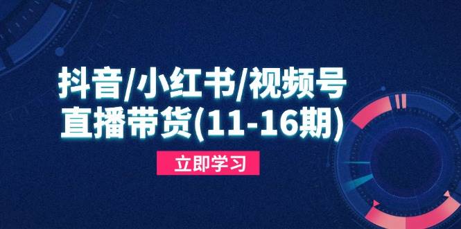 抖音/小红书/视频号/直播带货(11-16期宝哥轻创业_网络项目库_分享创业资讯_最新网创免费网络项目资源宝哥网创资源项目库