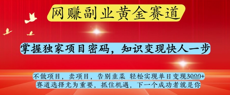 网创副业黄全赛道，掌握独家项目密码，知识变现快人一步，告别韭菜轻松实现单日变现1k+【揭秘】宝哥轻创业_网络项目库_分享创业资讯_最新网创免费网络项目资源宝哥网创资源项目库
