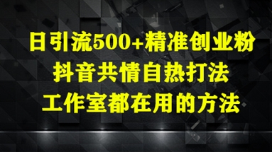 日引流500+精准创业粉，抖音共情自热打法，工作室都在用的方法宝哥轻创业_网络项目库_分享创业资讯_最新网创免费网络项目资源宝哥网创资源项目库