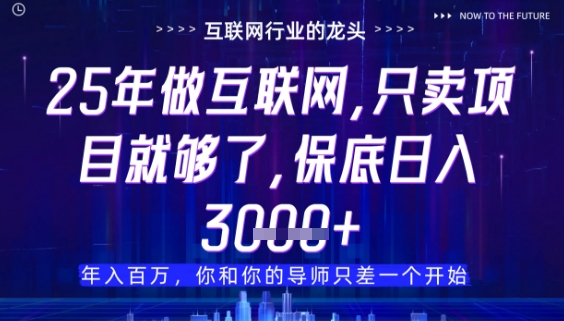 什么！25年你还在找项目做？风口早就变了，卖项目才是稳挣不赔【揭秘】宝哥轻创业_网络项目库_分享创业资讯_最新网创免费网络项目资源宝哥网创资源项目库