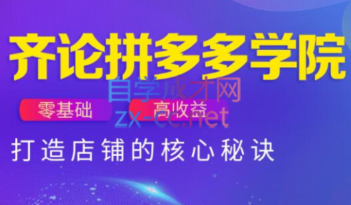 齐论拼多多vip课程宝哥轻创业_网络项目库_分享创业资讯_最新网创免费网络项目资源宝哥网创资源项目库