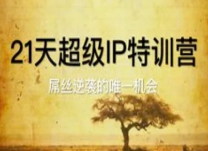 21天超级IP特训营，屌丝逆袭的唯一机会宝哥轻创业_网络项目库_分享创业资讯_最新网创免费网络项目资源宝哥网创资源项目库