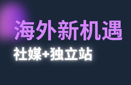 棕榈·2025出海新机遇(社媒+独立站)宝哥轻创业_网络项目库_分享创业资讯_最新网创免费网络项目资源宝哥网创资源项目库