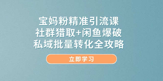 宝妈粉精准引流课，社群猎取+闲鱼爆破，私域批量转化全攻略宝哥轻创业_网络项目库_分享创业资讯_最新网创免费网络项目资源宝哥网创资源项目库