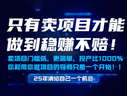只有卖项目才能做到稳挣不赔，门槛低，更简单，你也可以年入百个W【揭秘】宝哥轻创业_网络项目库_分享创业资讯_最新网创免费网络项目资源宝哥网创资源项目库