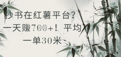 抄书在小红薯平台？平均一单30米，一天收益几张！宝哥轻创业_网络项目库_分享创业资讯_最新网创免费网络项目资源宝哥网创资源项目库