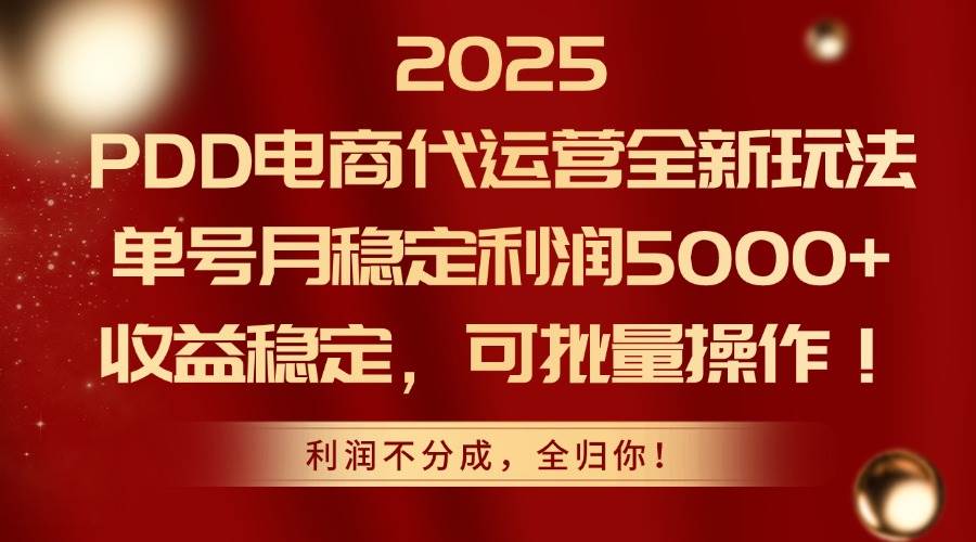2025PDD电商代运营全新玩法，单号月稳定利润5000+，收益稳定，可批量操作宝哥轻创业_网络项目库_分享创业资讯_最新网创免费网络项目资源宝哥网创资源项目库