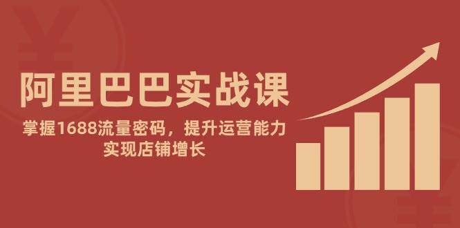 阿里巴巴实战课：掌握1688流量密码，提升运营能力，实现店铺增长宝哥轻创业_网络项目库_分享创业资讯_最新网创免费网络项目资源宝哥网创资源项目库
