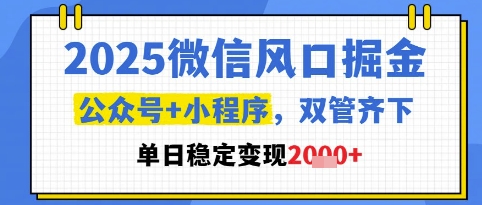 2025微信风口掘金，公众号+小程序双管齐下，单日稳定变现1k+【揭秘】宝哥轻创业_网络项目库_分享创业资讯_最新网创免费网络项目资源宝哥网创资源项目库