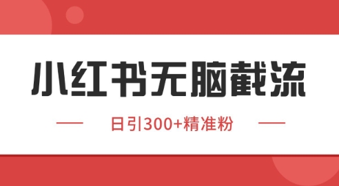 小红书截流同行客源，独家野路子获客玩法 日引200+暴力获客【揭秘】宝哥轻创业_网络项目库_分享创业资讯_最新免费网络项目资源宝哥网创资源项目库
