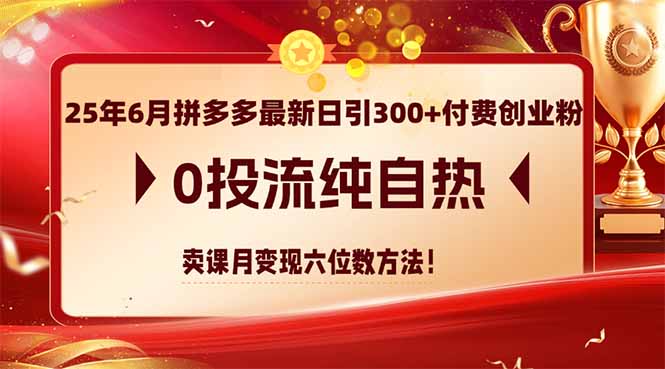 25年6月拼多多最新日引300+付费创业粉，0投流纯自热 卖课月变现六位数方法宝哥轻创业_网络项目库_分享创业资讯_最新网创免费网络项目资源宝哥网创资源项目库