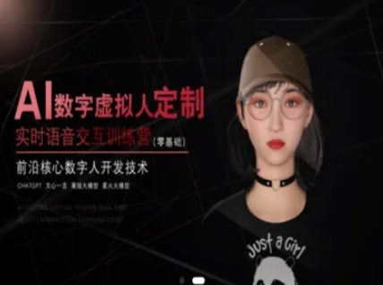 AI数字虚拟人定制，实时语音交互训练营(零基础)，前沿核心数字人开发技术宝哥轻创业_网络项目库_分享创业资讯_最新网创免费网络项目资源宝哥网创资源项目库