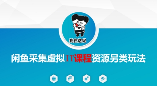 闲鱼采集虚拟IT课程资源另类玩法，干货满满宝哥轻创业_网络项目库_分享创业资讯_最新网创免费网络项目资源宝哥网创资源项目库