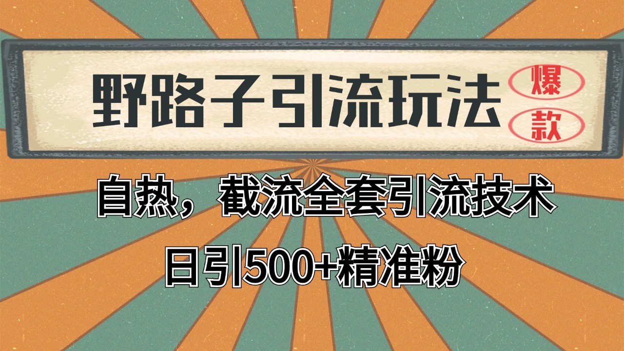 2024首发野路子引流玩法截流自热全平台打法，全自动引流【日引2000+精准客户】宝哥轻创业_网络项目库_分享创业资讯_最新网创免费网络项目资源宝哥网创资源项目库