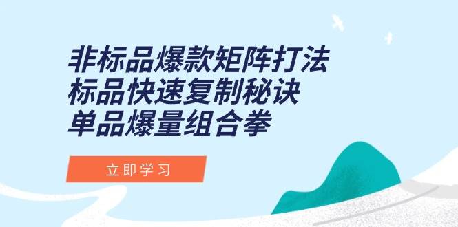 非标品爆款矩阵打法，标品快速复制秘诀，单品爆量组合拳宝哥轻创业_网络项目库_分享创业资讯_最新网创免费网络项目资源宝哥网创资源项目库