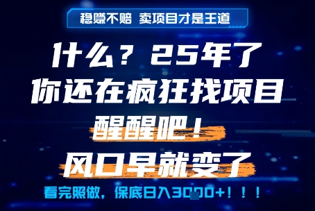 什么？25年你还在疯狂找项目做，醒醒吧，看完这些你全都懂了！【揭秘】宝哥轻创业_网络项目库_分享创业资讯_最新免费网络项目资源宝哥网创资源项目库