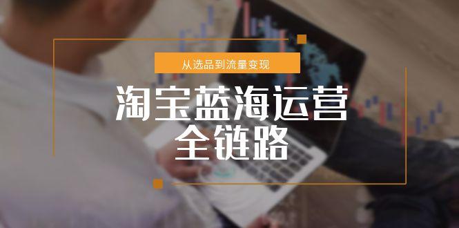 淘宝蓝海运营全链路，从选品到流量变现，小类目突围完整方案宝哥轻创业_网络项目库_分享创业资讯_最新网创免费网络项目资源宝哥网创资源项目库