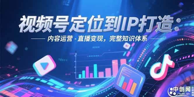 视频号定位到IP打造：账号搭建-内容运营-直播变现，完整知识体系宝哥轻创业_网络项目库_分享创业资讯_最新网创免费网络项目资源宝哥网创资源项目库
