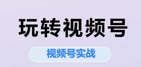 玩转视频号，视频号实战系列课宝哥轻创业_网络项目库_分享创业资讯_最新网创免费网络项目资源宝哥网创资源项目库