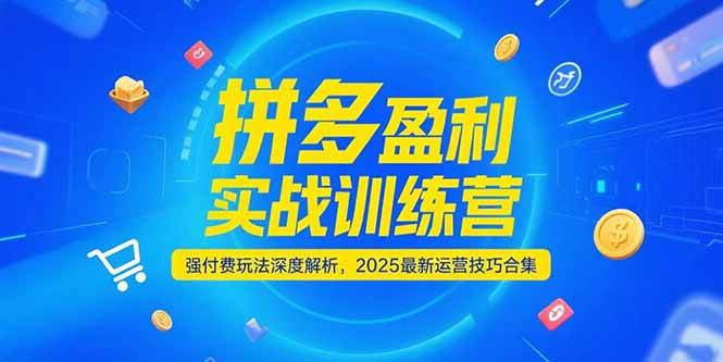 拼多多盈利实战训练营，强付费玩法深度解析，2025最新运营技巧合集宝哥轻创业_网络项目库_分享创业资讯_最新网创免费网络项目资源宝哥网创资源项目库