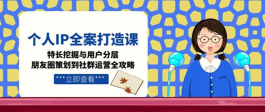 个人IP全案打造课，特长挖掘与用户分层，朋友圈策划到社群运营全攻略宝哥轻创业_网络项目库_分享创业资讯_最新网创免费网络项目资源宝哥网创资源项目库