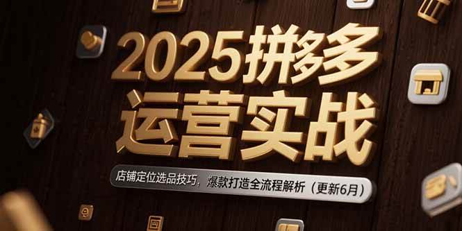 2025拼多多运营实战：店铺定位选品技巧，爆款打造全流程解析(更新6月宝哥轻创业_网络项目库_分享创业资讯_最新网创免费网络项目资源宝哥网创资源项目库