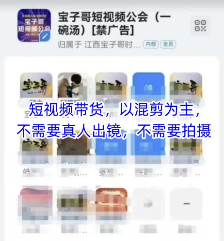 宝子哥头部团队短视频带货，以混剪为主，不需要真人出镜，不需要拍摄【更新6月】宝哥轻创业_网络项目库_分享创业资讯_最新网创免费网络项目资源宝哥网创资源项目库